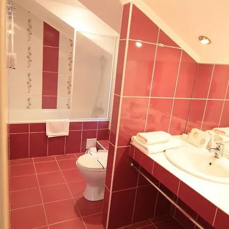 Chervona Kalina 3* Kyiv